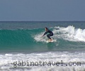 Surf courses  at Corralejo
